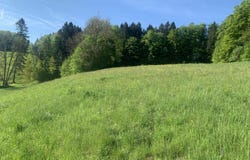 Vallorbe, Vaud 1337