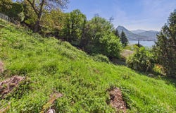 Viganello, Viganello, Ticino 6962