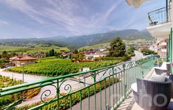 Miège, Miège, Valais 3972