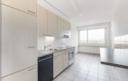 Spitzwaldstrasse 209, Allschwil, Basel-Landschaft (canton) 4123