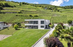 Sis à Sierre, Sierre, Valais 3960
