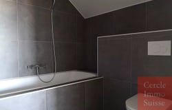 Poliez-Pittet, Vaud 1041