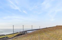 Bourg-en-Lavaux, Cully, Vaud 1096