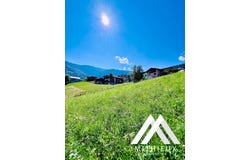 La Courtenâ, Basse-Nendaz, Valais 1996