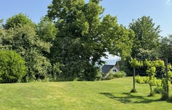 Salenstein, Thurgau 8268