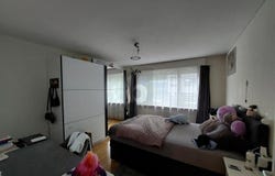 Altdorf UR, Uri 6460