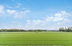 Route des Avouillons 17D, Gland, Vaud 1196