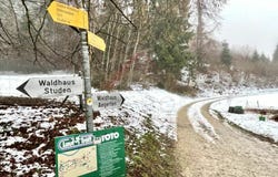 Sursee, Lucerne (canton) 6210
