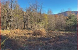 Zona Boiacch, Alto Malcantone-Breno, Ticino 6937