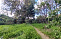 Gran Avenida José Miguel Carrera, El Bosque, Santiago Metropolitan Region