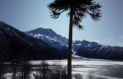 R-761, Curacautin, Araucania