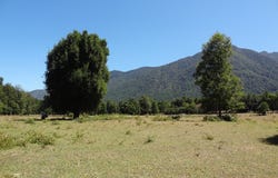 Q525+83, Pucon, Araucania