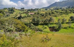 Vía Vereda la Carbonera, Guatavita, Cundinamarca 251067