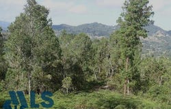 lot: E 2, El Retiro, El Retiro