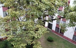 CARRERA 1 70-210 CONJUNTO RESID. LA PORTADA DE COMFANDI APTO 503 TIPO B BLOQUE 6 CONJ.A., Paso Del Comercio, Cali, Valle del Cauca, Cali, Valle del Cauca 760000