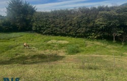 La Ceja, Antioquía