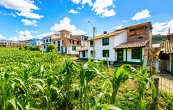 Mongui, Boyaca 152201