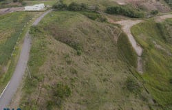 unit: 0, Pereira, Pereira