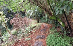 Bella Suiza, Cali, Valle del Cauca, Colombia, Cali, Valle del Cauca