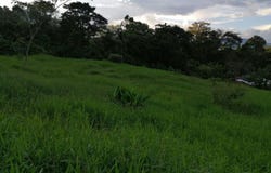 Venecia, Antioquia, Colombia, Venecia, Antioquia 056420