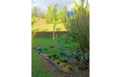 Cl. 7 #16-14, Pacho, Cundinamarca, Colombia, Pacho, Cundinamarca 254001