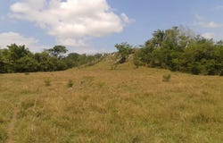 Carmen De Apicala, Tolima