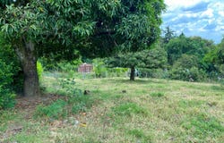 JRC5+GW, El Cerrito, Valle del Cauca, Colombia, El Cerrito, Valle del Cauca 763520