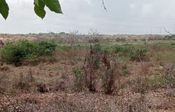 X47C+JP Barranquilla, Atlántico, Colombia, Barranquilla, Atlantico