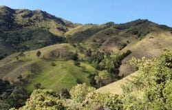 vereda quebradona abejorral, Abejorral, Antioquia 055038