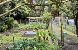 LA CALERA, Cundinamarca 251207