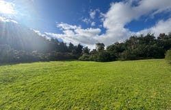 LA CALERA, Cundinamarca 251201