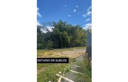 Pereira, Risaralda