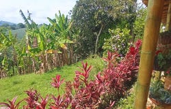 Agua Mona, Restrepo, Valle del Cauca, Colombia, Restrepo, Valle del Cauca 760547