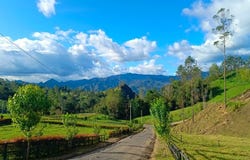 Cl. 7 #16-14, Pacho, Cundinamarca, Colombia, Pacho, Cundinamarca 254001