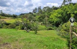 VEREDA QUIRAMA, El Carmen de Viboral, Antioquia 054037