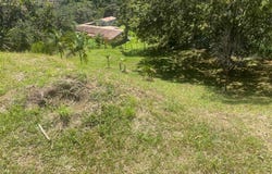 vereda santa rita predio 1, Guarne, Guarne, Antioquia, Guarne, Antioquia 53817