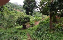 Cra. 2b Oe. #15 - 15, Cali, Valle del Cauca, Colombia, Cali, Valle del Cauca 760043