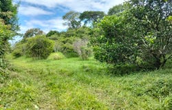 JG6C+J5 La Mesa, Cundinamarca, Colombia, La Mesa, Cundinamarca 252601