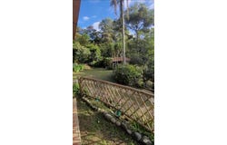 Felidia, Cali, Valle del Cauca, Colombia, Cali, Valle del Cauca 760009