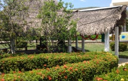 Girardot - Nariño, Girardot, Cundinamarca, Colombia, Girardot, Cundinamarca 252437