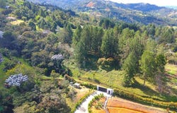 Vereda Tablazo Alto lote 6 ( p El Chaquiro), Vereda el Tablazo, Rionegro, Antioquia, 054047, Rionegro, Antioquia 054047