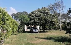 Rozo, Palmira, Valle del Cauca, Colombia, Rozo, Valle del Cauca 763537