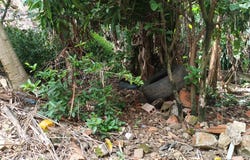 Aguacatal, Terron Colorado, Cali, Valle del Cauca, Colombia, Cali, Valle del Cauca