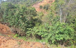 Vereda Ovejas Parcelacion Horabella lote 16, San Vicente de Paul, Medellín, Antioquia, Medellín, Antioquia 54017