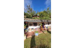Felidia, Cali, Valle del Cauca, Colombia, Cali, Valle del Cauca 760009