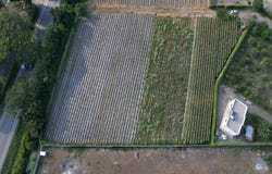 Km Carrera 1, Palmira, Valle del Cauca, Colombia, Palmira, Valle del Cauca