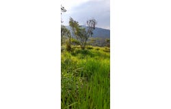 Vía La Reforma, Bella Suiza, Cali, Valle del Cauca, Colombia, Cali, Valle del Cauca 760040