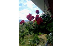 Kilómetro 30, Dagua, Valle del Cauca 760520