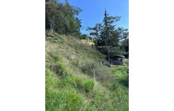 Vda. el Yarumo, La Ceja, Antioquia, Colombia, La Ceja, Antioquia 055017