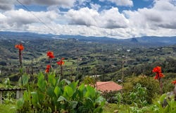 VEREDA CONCORDIA, EL PEÑOL; ANTIOQUIA; COLOMBIA, Peñol, Antioquia 053857